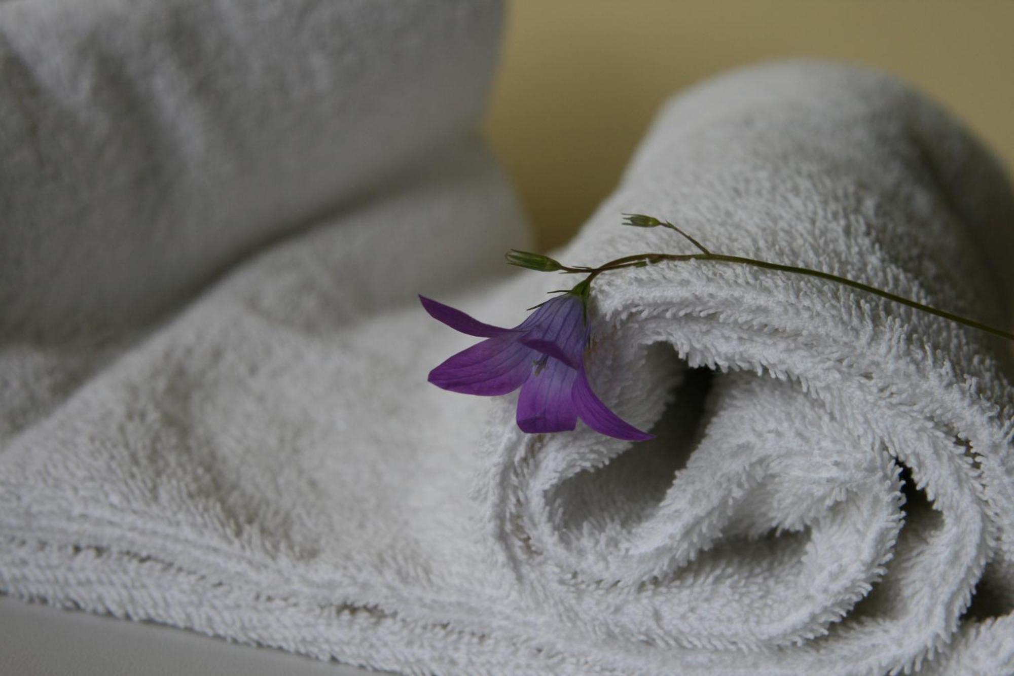 Hotel Audenis Birštonas Chambre photo